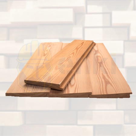 Американка сосна «Хвоя»